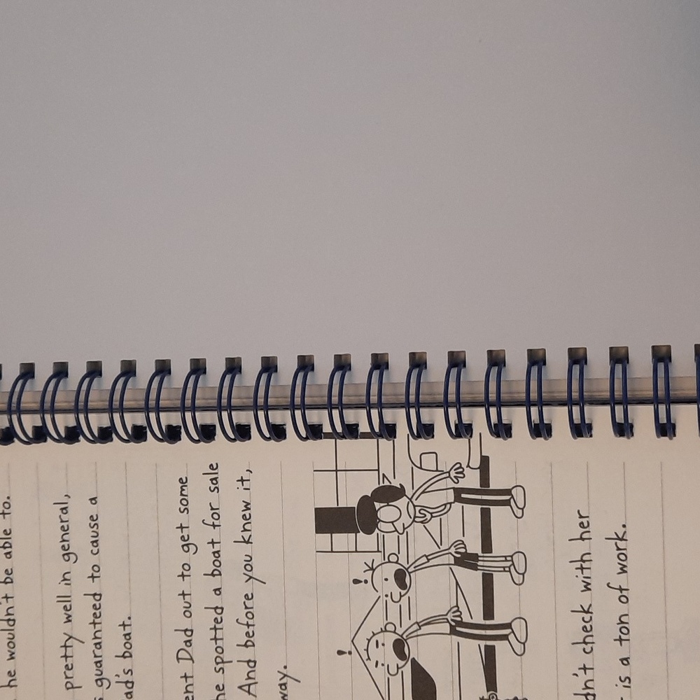 Secret Journal Diary of a wimpy kid - Picture 3 of 7